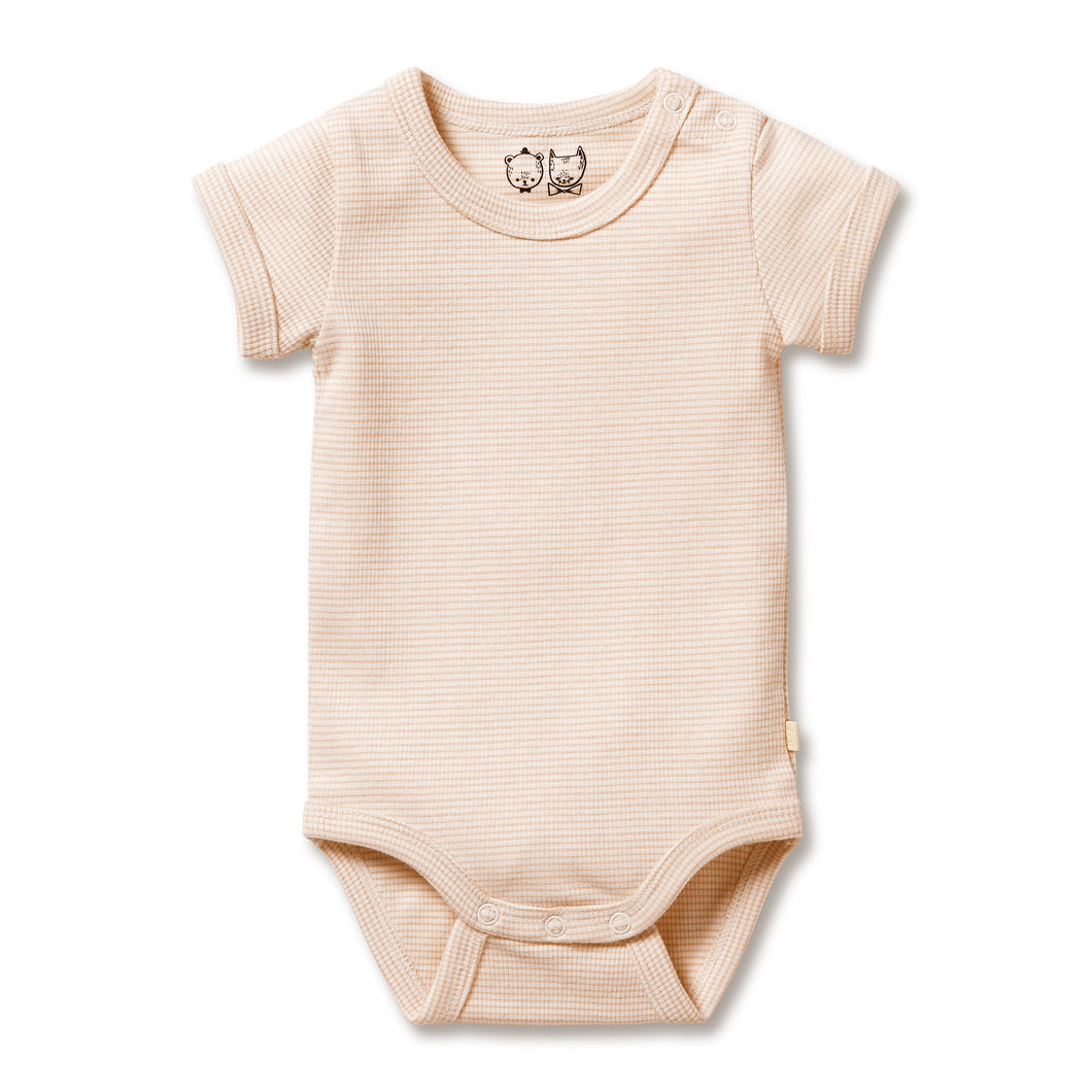 Organic Stripe Rib Bodysuit - Dusk