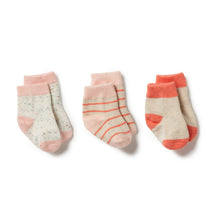 Load image into Gallery viewer, Organic 3 Pack Baby Socks - Silver Peony / Oatmeal / Coral
